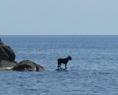 Прикрепленное изображение: DSCF8539.jpg